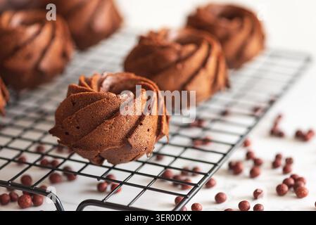 Köstliche Mini-Schokoladen-Bundt-Kuchen, frisch gebacken mit einzigartiger Spiralform und satter Farbe, kühlend auf einem schwarzen Drahtgestell, bereit zum Servieren als Sw Stockfoto