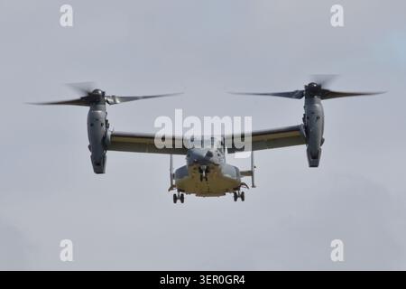 Ein graues Bell Boeing V-22 Osprey-Tiltrotor fliegt mit heruntergefahrenem Fahrwerk und Rotoren, die nach oben gegen einen bewölkten Himmel geneigt sind. Stockfoto