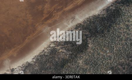 Aus der Vogelperspektive sehen Sie die rötliche Salzkruste und die Küste des Lake Tyrrell mit karger Buschland und trockenen Bäumen in Buloke Shire, Victoria, Australien. Stockfoto