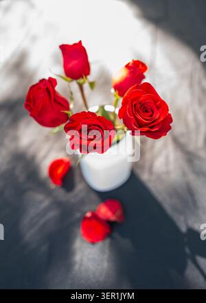 Rote Rosen in weißer Vase mit gefallenen Blüten und dramatischem Schatten Stockfoto