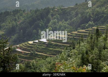 Die traditionellen Holzpfahlhäuser des Trommelturms und Reisterrassen des Baba Dong Minority Village in Qiandongnan Guizhou China Stockfoto