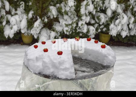 Ice Cream Cake Stockfoto