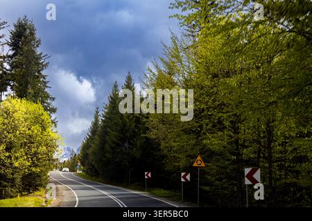 Kurvenreiche Bergstraße durch dichten Wald unter dramatischem bewölktem Himmel. Landschaftlich reizvolle Fahrtroute, Verkehrsinfrastruktur und Reise t Stockfoto