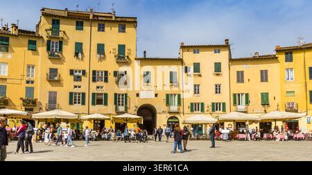Gelbe Häuser auf dem Anfiteatro-Platz in Lucca, Italien Stockfoto