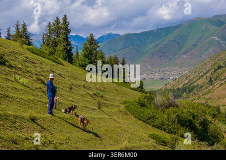 SEMENOVSKOYE GORGE, KIRGISISTAN - 19. Juli 2024: Ruhiger Hirte hält ein grünes Objekt, während er von drei Hunden in einer ruhigen Berglandschaft umgeben ist. T Stockfoto