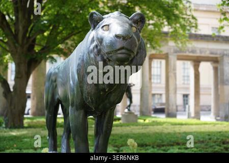 Berlin, Deutschland - 17. Juni 2026: Nahaufnahme der historischen modernen Bronzeskulptur „Löwe“ August Gallis im Kolonnadenhof, Museumsinsel. Stockfoto