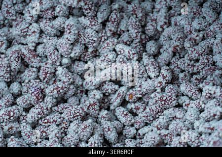Die Nahtextur kandierter Maulbeeren, die mit Zuckerkristallen bedeckt sind. Hintergrund aus süßen getrockneten Beeren mit detaillierter natürlicher Textur und Süßwaren Stockfoto