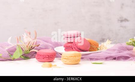 Ein herrliches Arrangement von lebhaften französischen Makronen, serviert auf einem weißen Teller mit zarten Geißblatt-Blüten und einem weichen lila Stoffvorhang. Das Licht Stockfoto