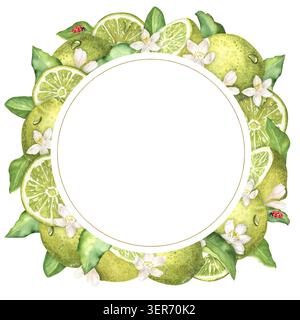 Runder Rahmen mit Limetten, Scheiben, Blättern und Blumen, handbemalt in Aquarell. Fruchtzusammensetzung. Perfekt für kulinarische Projekte und Obstprojekte, Küche d Stockfoto