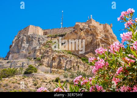 Gipfel des Berges Benacantil mit mittelalterlicher Festung von Alicante, Blick auf das Schloss Santa Barbara vom Ereta Park. Alicante, Spanien Stockfoto