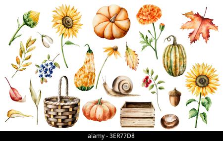 Aquarell großes Herbstset mit Kürbissen, handgezeichnetem halloween-Gemüse, Eichen- und Ahornblättern, Beeren, Sonnenblumen, Erntethemen und Thanksgiving-Themen Stockfoto