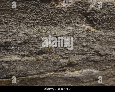 Dekorativer Zementputz an der Wand eines alten Kellergeschosses Stockfoto