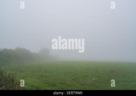 Ein weites Bild einer lebendigen grünen Ackerweide, die vollständig von dichtem grauem Erdnebel umgeben ist und eine stimmungsvolle ländliche Szene in Cornwall schafft Stockfoto