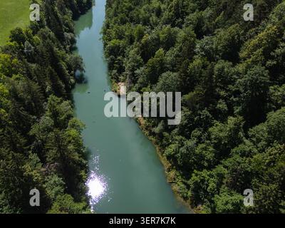 Ein Fluss schlängelt sich durch einen dichten Wald, der tagsüber klares Wasser und grüne Bäume zeigt. Stockfoto