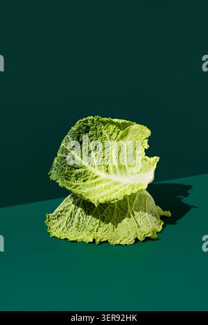 Studio-Aufnahme von lockigem Wirsing- und Mailand-Kohl, mit knusprigen, faltigen Blättern, auf dunkelgrünem Hintergrund, frischer Gemüsestruktur und hell. Stockfoto