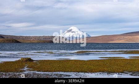 Panoramablick auf den schneebedeckten Sajama-Vulkan, der über einem hochgelegenen See und Ebenen im Sajama-Nationalpark in Bolivien aufsteigt und den zerklüfteten Boli zeigt Stockfoto