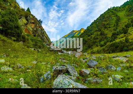 Atemberaubende Aussicht auf ein Bergtal mit felsigem Gelände und lebendigen Wildblumen in Kirgisistan. Üppig grüne Hänge steigen zu sonnendurchfluteten Gipfeln unter einem c Stockfoto