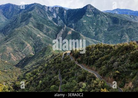 General's Highway windet sich durch die Sierra Nevada Mountains, den Sequoia National Park, Kalifornien, USA Stockfoto