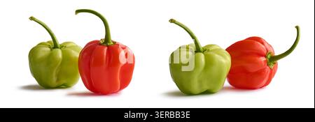 Bunte Habanero-Chili-Paprika isolierter weißer Hintergrund, rote und grüne rohe Scotch-Haubengruppen, Seitenansicht mit Schatten Stockfoto