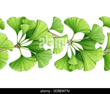 Ginkgo biloba nahtlose Grenze Clipart Aquarellillustration, Hand gezeichnetes grünes Blatt-Muster für botanisches Design, Kräuter-Branding, natürliches Thema Stockfoto