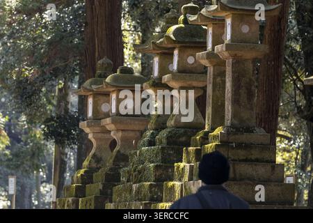 Blick auf traditionelle moosbedeckte Steinlaternen entlang eines Waldweges mit einer Person im Vordergrund Nara, Nara, Japan. Stockfoto