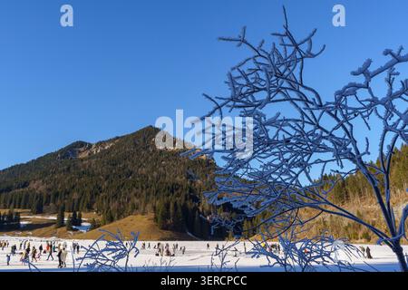 Eine wunderschöne Winterlandschaft mit einer Menschenmenge, die auf dem gefrorenen Spitzingsee Schlittschuhlaufen kann, natürlich eingerahmt von weißen Reimfrost-Ästen Stockfoto