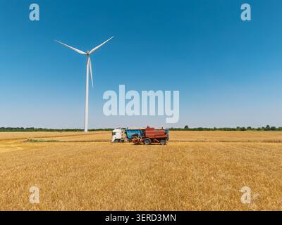 Mähdrescher, der im Weizenfeld arbeitet, mit Windturbinen im Hintergrund Stockfoto