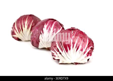 Roter Radicchio, eine Art Blattzichorie, auf weißem Hintergrund. Sie ist auch als italienische Zichorie bekannt Stockfoto