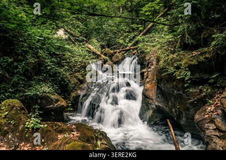 Ein malerischer Blick auf einen kaskadierenden Wasserfall, der durch einen dichten, grünen Wald fließt. Das Wasser scheint verschwommen zu sein, was ein Gefühl von Bewegung und Ruhe schafft Stockfoto