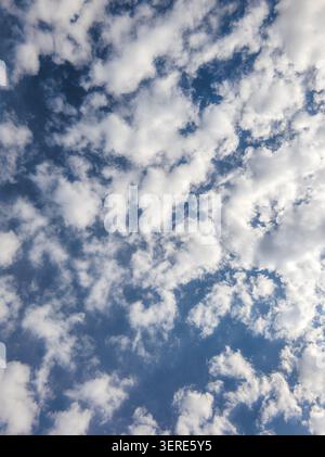 Die Vollformataufnahme erfasst den hellblauen Himmel mit weißen Kumuluswolken. Sonnenlicht beleuchtet Wolken und schafft Tiefe und Textur an klaren Tagen. Stockfoto