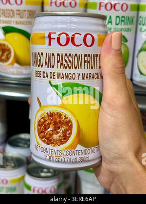 13.06.2026 Bulgarien Varna Person mit einer Dose FOCO Mango und Passion Frucht Getränk im Supermarkt Stockfoto