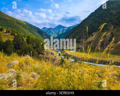 Herrlicher Blick auf ein Bergtal unter einem leuchtend blauen Himmel. Ein sich windender Fluss fließt durch grüne Wiesen, flankiert von felsigen Hängen und Nadelbäumen Stockfoto