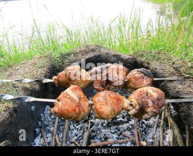Gegrillte Hähnchenspieße, die über heißen Kohlen auf einem provisorischen Kamin am See kochen. Stockfoto
