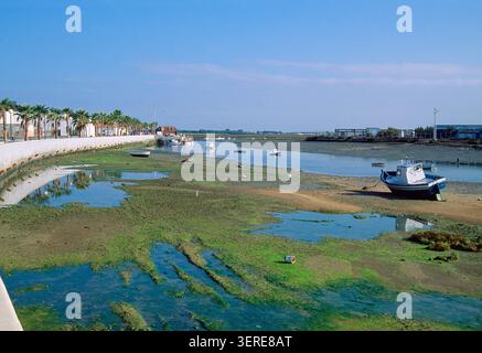Hafen von Sancti Petri in der Ebbe. Chiclana De La Frontera, Provinz Cadiz, Andalusien, Spanien. Stockfoto