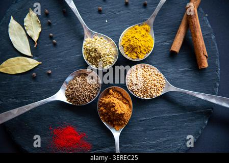 Kulinarische Gewürze auf schwarzem Hintergrund: Curry, Zimt, Lorbeerblatt, Senf, schwarzer Pfeffer. Stockfoto