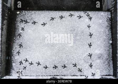 Ein Blick von oben zeigt ein deutliches rechteckiges Muster, das von Vogelspuren in einer unberührten Schicht aus frischem weißem Schnee in Amsterdam, Niederlande, gebildet wird. Das c Stockfoto