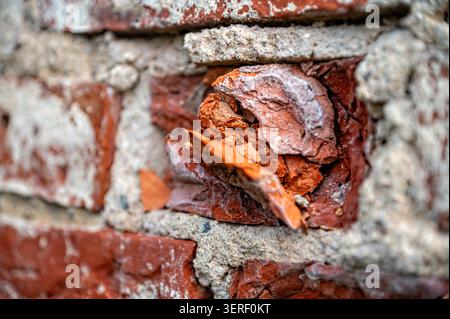 Nahaufnahme einer Ziegelwand, bei der sich die Farbe ablöst und Schichten und Texturen freigibt. Stockfoto