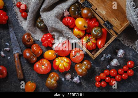 Viele verschiedene Arten, Formen und Größen von Tomaten in einer alten Holzkiste und auf einer dunklen Oberfläche, flach liegend, Draufsicht. Erntekonzept Stockfoto