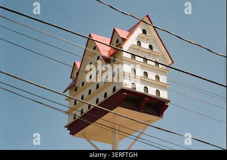 Ein großes, weiß-rotes, mehrteiliges martin-Vogelhaus auf einem hohen Stab, fotografiert von unten vor einem klaren blauen Himmel mit Stromleitungen, die sich kreuzen Stockfoto