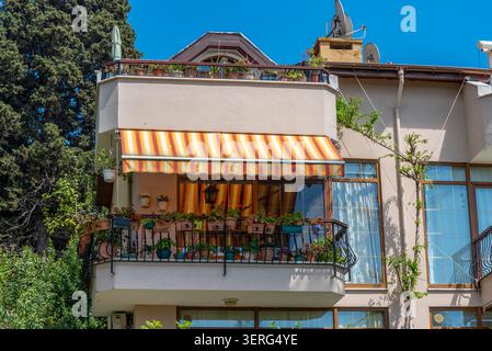 Die Szene zeigt einen Balkon mit verschiedenen Pflanzen und Blumen. Eine farbenfrohe, gestreifte Markise sorgt für Schatten. In der Umgebung befinden sich Bäume und Gebäude Stockfoto