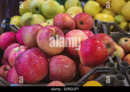 Äpfel füllen die Marktkisten mit Wassertropfen auf roten und grünen Früchten und zeigen Äpfel am Lebensmittelstand. Konzept von Frischwaren, Ernte, Obst Stockfoto