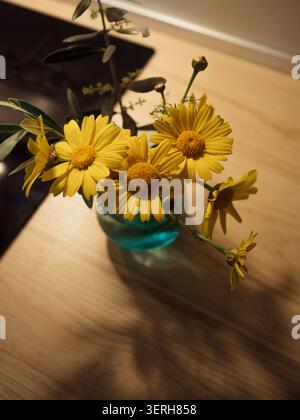 Crown Gänseblümchenblumen und Olivenzweig in blauer Glasvase auf moderner Küchenzeile Stockfoto