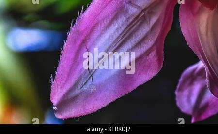 Eine Nahaufnahme einer rosa Kunstblume Stockfoto