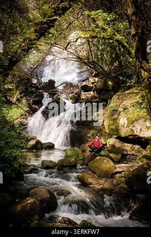 Person, die auf moosigen Felsen an einem friedlichen Wasserfall in einer üppigen Waldumgebung meditiert Stockfoto