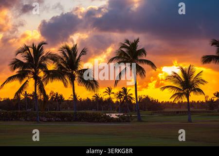 Silhouetten von Palmen auf einem grünen Golfplatz während eines feurigen tropischen Sonnenuntergangs Stockfoto