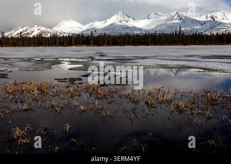 Ein teilweise aufgetautes See spiegelt dramatische Wolken und die schneebedeckten Gipfel der Alaskakette entlang der Denali Highway in der Nähe von Cantwell wider, Stockfoto