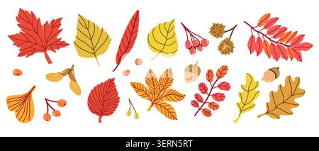 Set von Herbstblättern und Beeren. Cartoon Herbstbeeren, Blätter, Samen und Schoten. Vektor-Illustration der botanischen Elemente des Herbstes, roter Ahorn, Birke, Eiche, Stock Vektor