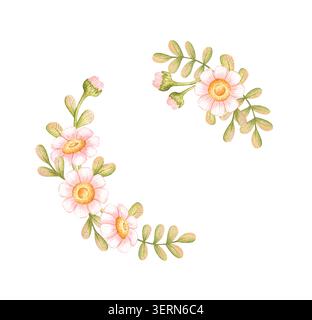 Halbkranz aus rosa Gänseblümchen mit grünen Knospen und Blättern, Aquarell isoliert vom Hintergrund. Für Eckdekorationen, Hochzeitseinladungen, Frühlingskarten und Stockfoto