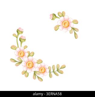 Halbkranz aus rosa Gänseblümchen mit grünen Knospen und Blättern, Aquarell isoliert vom Hintergrund. Für Eckdekorationen, Hochzeitseinladungen, Frühlingskarten und Stockfoto