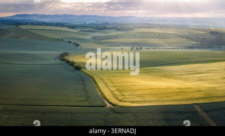 Sonnenaufgang über sanften Frühlingshügeln, die in goldenes Licht und Morgennebel getaucht sind Stockfoto